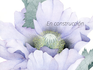 En construcción